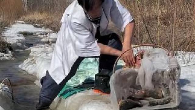 #户外捕鱼 #好多鱼