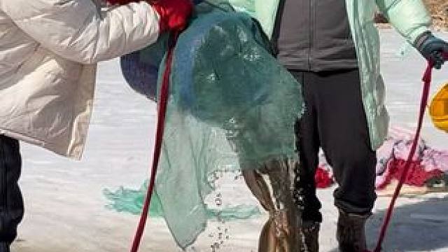 #户外捕鱼 #好多鱼