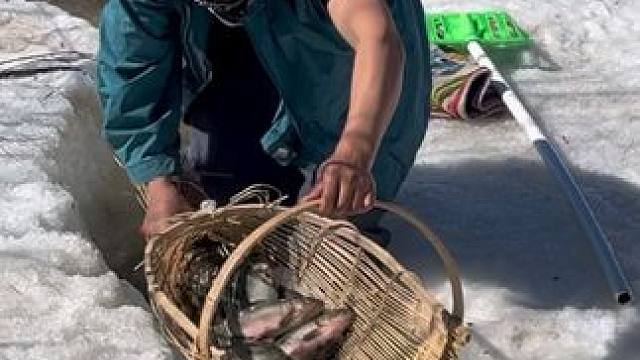 #户外捕鱼 #好多鱼