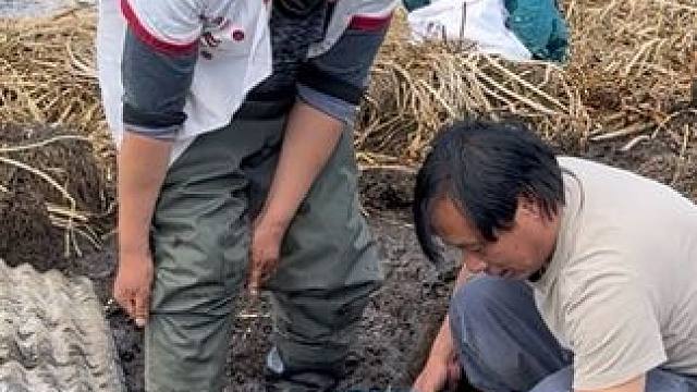 #户外捕鱼 #好多鱼