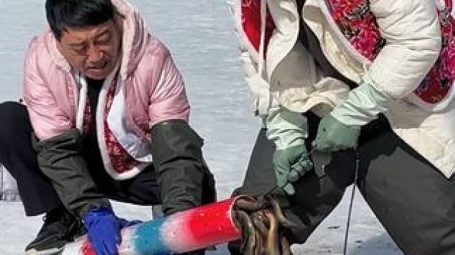 #户外捕鱼 #好多鱼