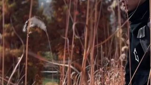 我渴望缓慢 简单又奇特的生活#氛围感 #每一帧都是热爱 #拍出电影感 #芦苇