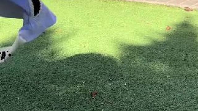 朋友：咋这么能装呢？ #运动包  #玩个很新的东西