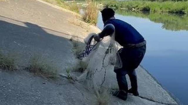 #捕鱼 #户外捕鱼 #年年有大鱼 #撒网捕鱼 #农村生活