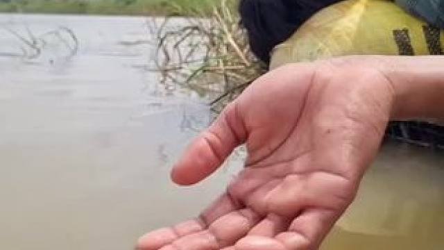 #我的农村生活 #创作者中心 #创作灵感#抓鱼 #逮鱼摸虾 #好大一条鱼