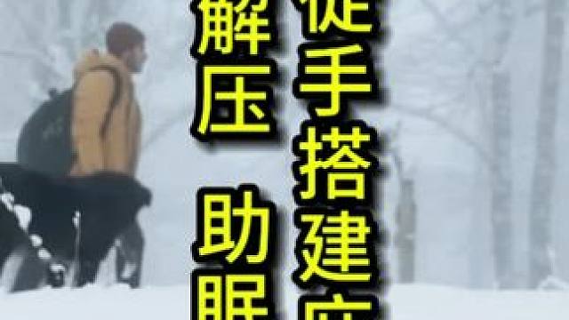 一人一狗一露营，晚安家人们！#搭建庇护所  #助眠 #解压 #雪天露营 #雪中徒手搭建庇护所