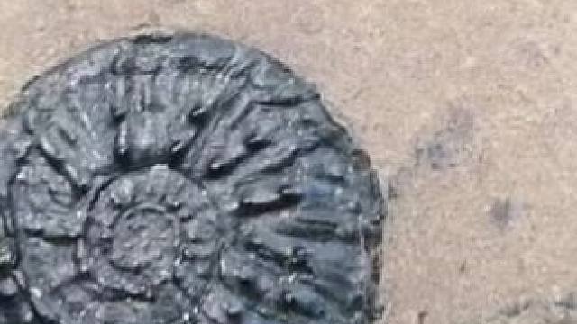 三亿年前就存在着内卷，这玩意最内卷。#解压禅绕画 #想象力 #画画 #带你走进画里 #日常瞎画