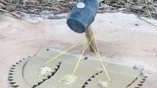 陷阱装置 #动物趣事 #陷阱 #动物的迷惑行为 #野生动物零距离