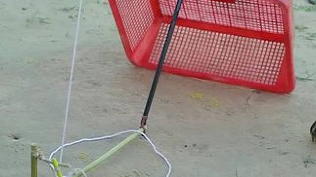 狩猎装置 #动物趣事 #陷阱 #动物的迷惑行为 #野生动物零距离