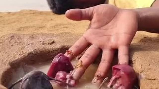 #户外抓鱼 #捕鱼达人 #逮鱼摸虾 #农村生活 #抓鱼