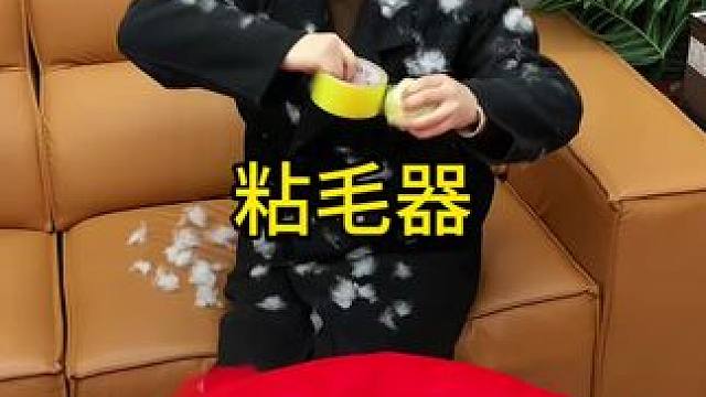 粘毛器 神奇的粘毛器!不仅能轻松清理头发和猫猫狗狗掉落的毛发，水一冲就干净能继续用了 #粘毛神器  
