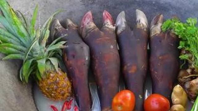 东南亚原始美味 #农村生活 #我的乡野山居生活 #舌尖上的美食 #原始美味 #真材实料才能做出好味道