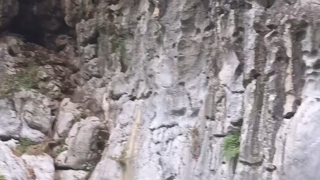 野外探钓收获目标鱼还是可以的