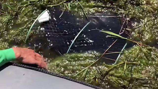 #户外捕鱼大队 #捕鱼河边随拍 #捕捞现场  #丝网捕鱼