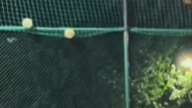 这个帮忙不简单。＃足球