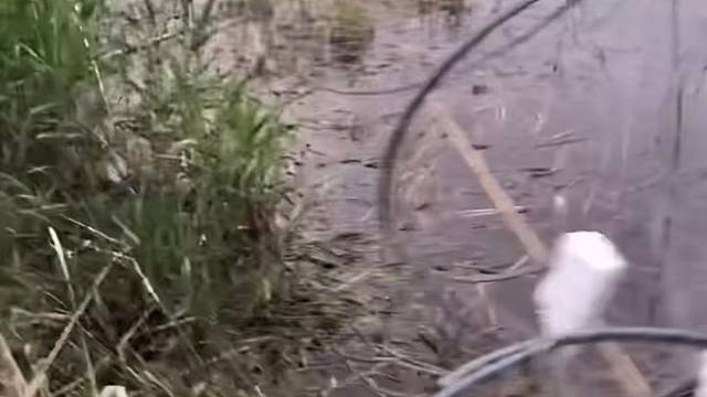 #户外捕鱼大队 #捕鱼河边随拍 #捕捞现场  #丝网捕鱼