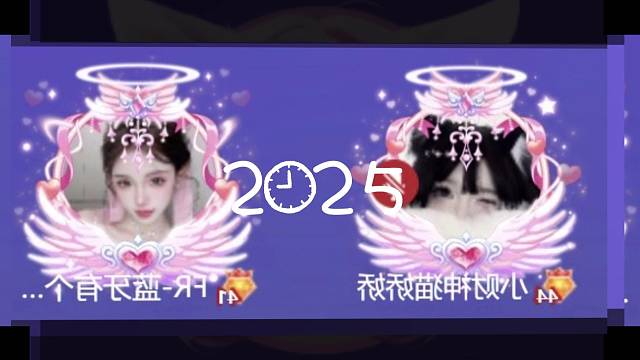 2025年猫猫眼中的我