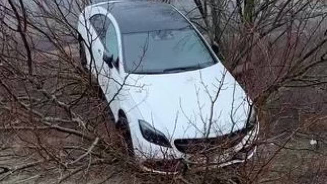 86能上山，奔驰能上树#操作有风险请勿模仿 #奔驰