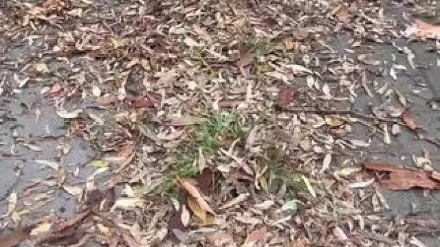 我发布了一个新视频，快来围观吧！