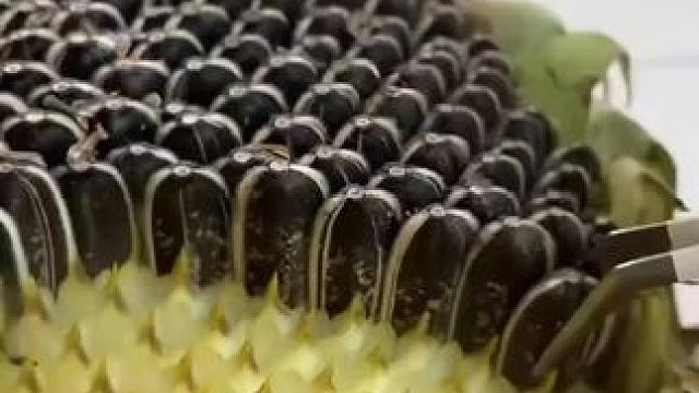 我发布了一个新视频，快来围观吧！