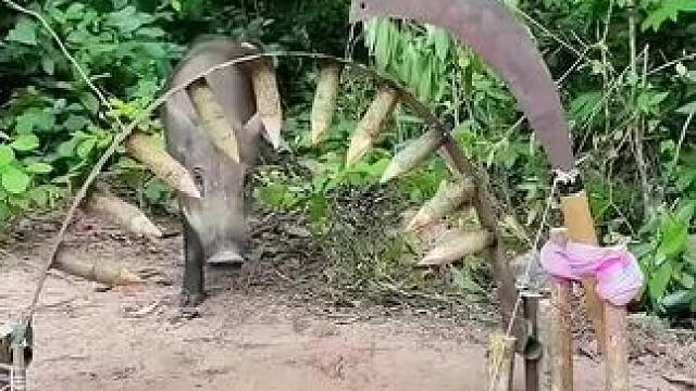 我发布了一个新视频，快来围观吧！