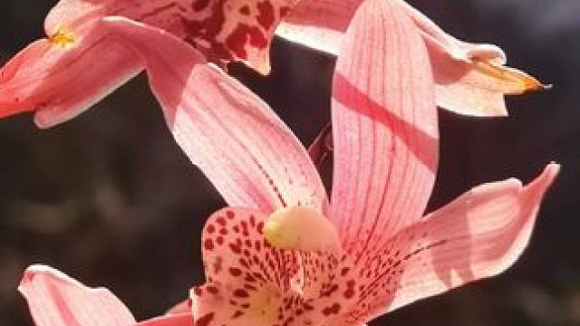 #身边的风景 #休闲时光