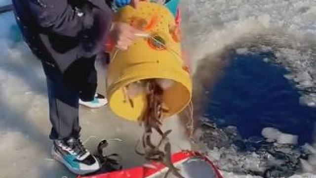 #户外捕鱼 #好多鱼