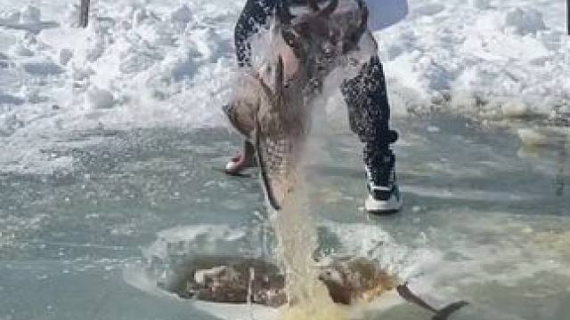 #户外捕鱼 #好多鱼