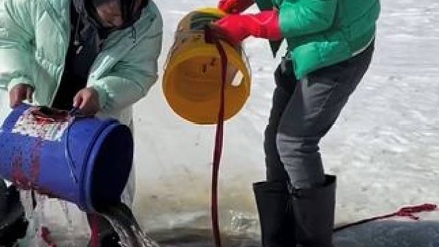 #户外捕鱼 #好多鱼