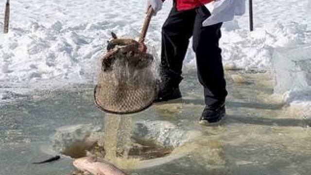 #户外捕鱼 #好多鱼