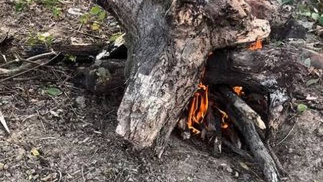 户外野餐爽歪歪 #我的乡村生活 #我的乡野山居生活 #农村生活 #人生百味自己体会 #记录真实生活