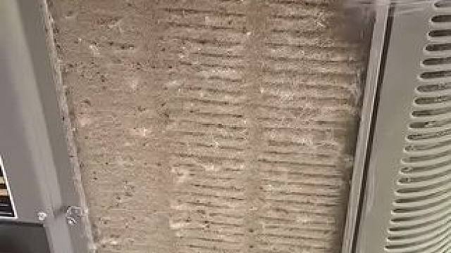 清洗空调外机 穿棉袄了这外机#清洗 #空调外机 #家电清洗