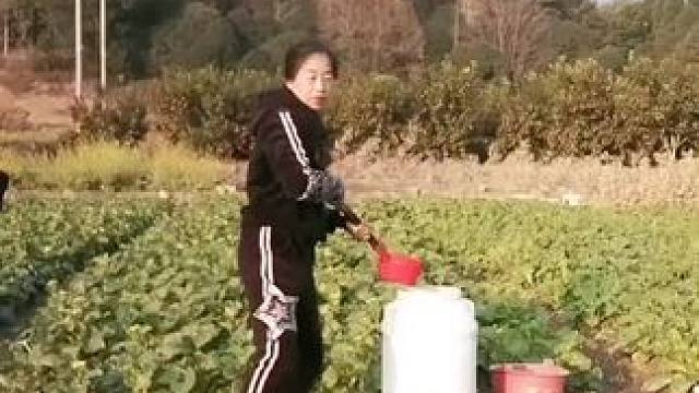 山卡卡里的农村大姐也学会了开直播每天收获满满您还在恐播怕播不敢开播吗今天把萝卜浇浇水#记录真实生活 