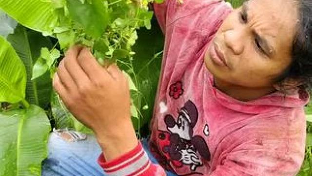 有想吃的吗？#快来一起尝个鲜 #记录农村生活  #你们吃过吗 #纯天然无公害 #新鲜采摘