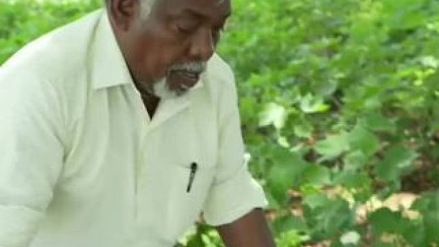 #美食分享  #乡村味道 #地方特色美食 #舌尖上的味道