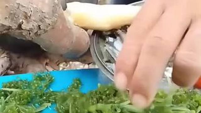 你们吃过这个菜吗#妈呀太香了 #快来一起尝个鲜 #好吃不贵经济实惠 #口感非常好 #你们吃过吗