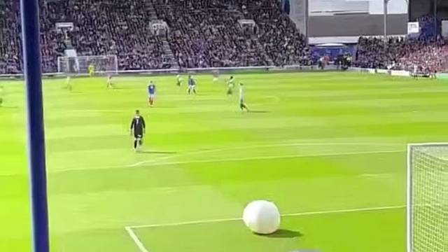 我们想要回我们的球