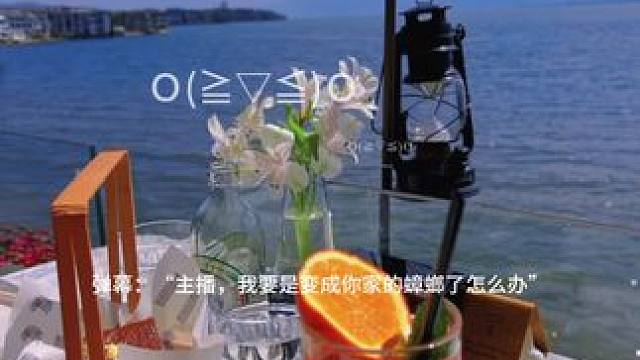 虽然不知道这个姐妹为什么要变成蟑螂（开玩笑），但这个回答让我心软软。#cv锦鲤 #鱼言鱼语