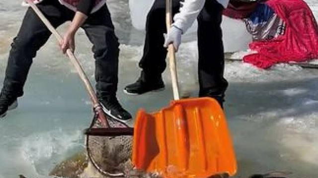 #户外捕鱼 #好多鱼