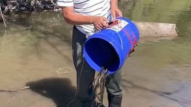 #户外捕鱼 #好多鱼