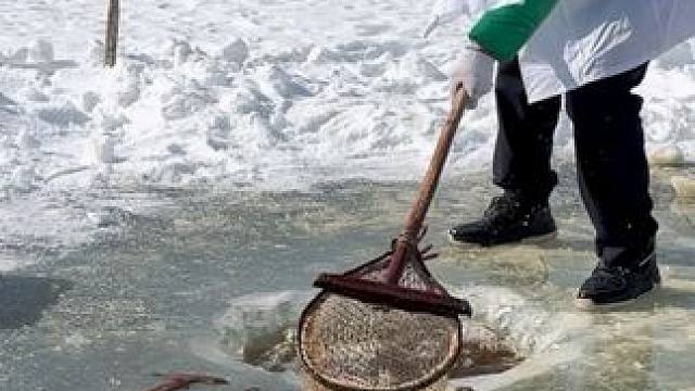 #户外捕鱼 #好多鱼