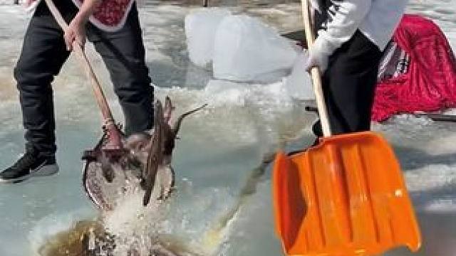 #户外捕鱼 #好多鱼