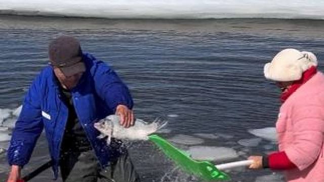 #户外捕鱼 #好大一条鱼