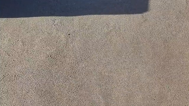 楼梯滚瓶子爆破解压时刻