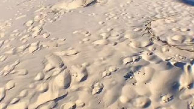 你以为是一支钢笔，其实是。。。 #玩个很新的东西 #男人的玩具