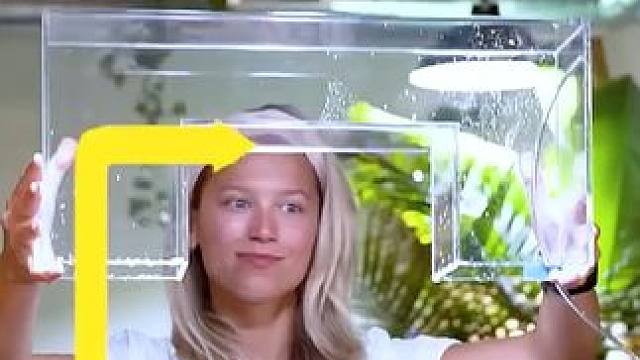 负压鱼桥，鱼儿像在天上飞！ 