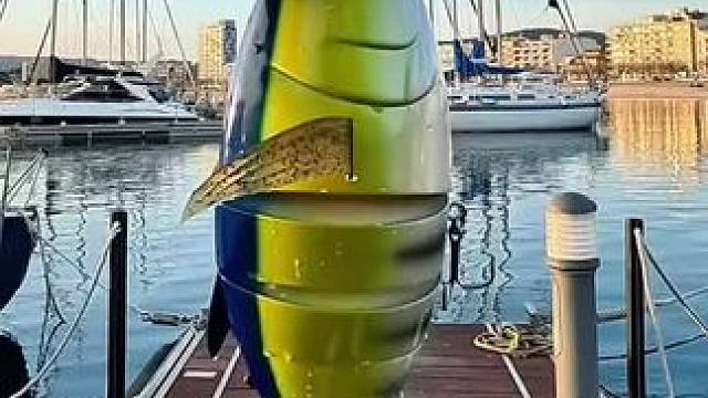 #每个钓鱼人都有个百斤巨物梦 #冬天总要出门钓一次鱼吧 #钓鱼人的202