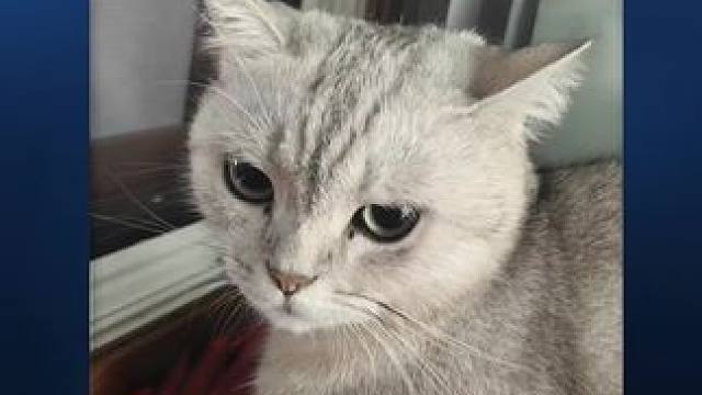 #第一次发单曲怪紧张的 (⊙o⊙)哇好听#