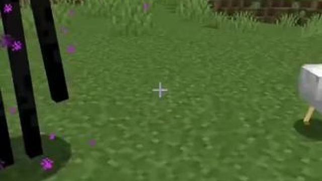 #我的世界 #Minecraft