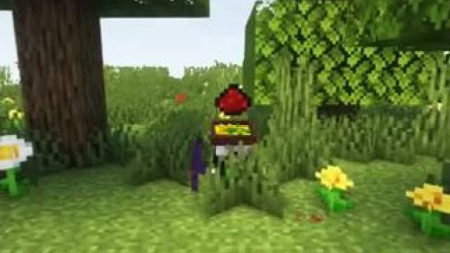 #我的世界 #Minecraft